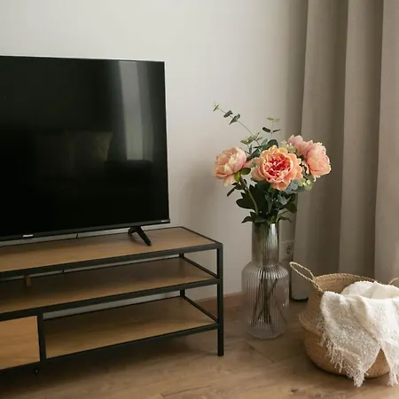 New And Cozy In Appartement *